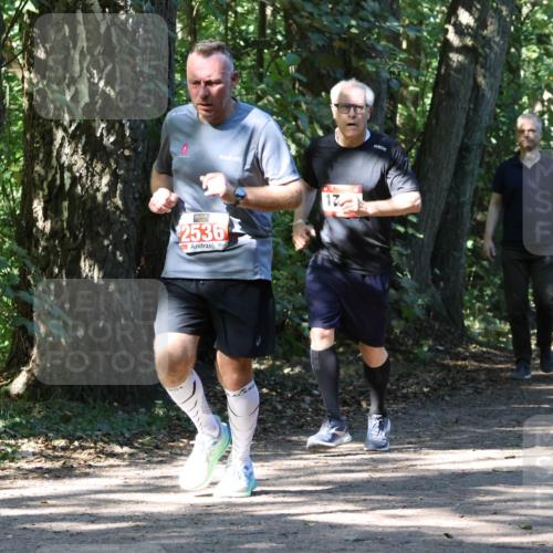 28.09.2025 - 33. Volkslauf durch das schöne Alstertal Strokosch-Dieckow http://msf.ph/oto/8971495 28.09.2025 12:15:15 Laufen 2536, 17 meine-sportfotos.de
