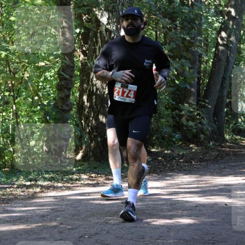 28.09.2025 - 33. Volkslauf durch das schöne Alstertal Strokosch-Dieckow http://msf.ph/oto/8971496 28.09.2025 12:15:27 Laufen 2174 meine-sportfotos.de