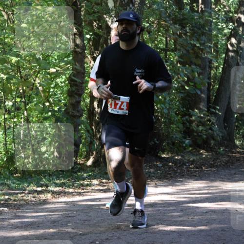 28.09.2025 - 33. Volkslauf durch das schöne Alstertal Strokosch-Dieckow http://msf.ph/oto/8971499 28.09.2025 12:15:27 Laufen 2174 meine-sportfotos.de