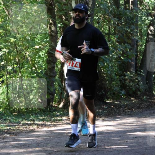 28.09.2025 - 33. Volkslauf durch das schöne Alstertal Strokosch-Dieckow http://msf.ph/oto/8971500 28.09.2025 12:15:27 Laufen 2174 meine-sportfotos.de