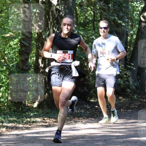 28.09.2025 - 33. Volkslauf durch das schöne Alstertal Strokosch-Dieckow http://msf.ph/oto/8971506 28.09.2025 12:15:44 Laufen 301 meine-sportfotos.de