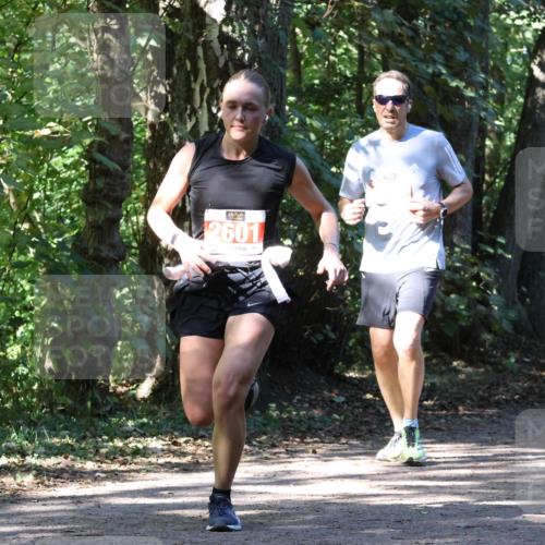 28.09.2025 - 33. Volkslauf durch das schöne Alstertal Strokosch-Dieckow http://msf.ph/oto/8971507 28.09.2025 12:15:44 Laufen 42601, 254 meine-sportfotos.de