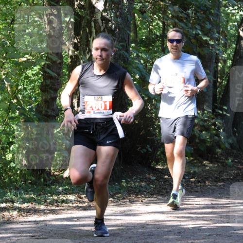 28.09.2025 - 33. Volkslauf durch das schöne Alstertal Strokosch-Dieckow http://msf.ph/oto/8971508 28.09.2025 12:15:44 Laufen 2601 meine-sportfotos.de