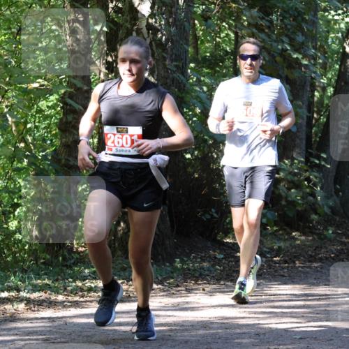 28.09.2025 - 33. Volkslauf durch das schöne Alstertal Strokosch-Dieckow http://msf.ph/oto/8971509 28.09.2025 12:15:44 Laufen 260, 2542 meine-sportfotos.de
