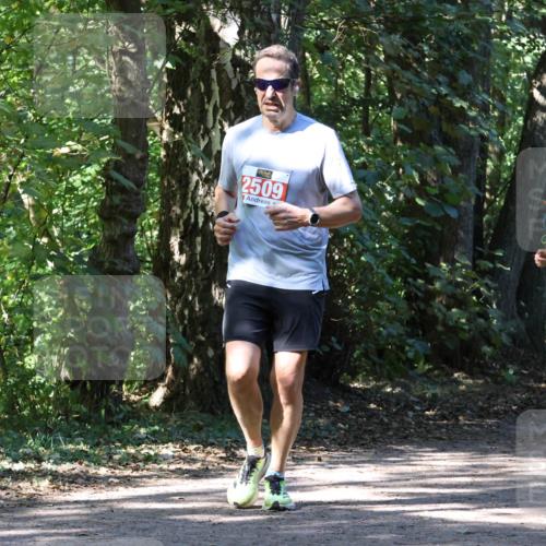 28.09.2025 - 33. Volkslauf durch das schöne Alstertal Strokosch-Dieckow http://msf.ph/oto/8971510 28.09.2025 12:15:45 Laufen 2509, 2542, 1746 meine-sportfotos.de