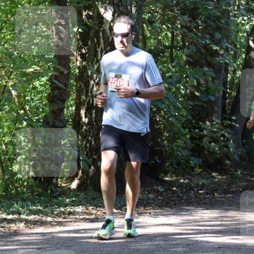 28.09.2025 - 33. Volkslauf durch das schöne Alstertal Strokosch-Dieckow http://msf.ph/oto/8971511 28.09.2025 12:15:45 Laufen 2509, 174 meine-sportfotos.de