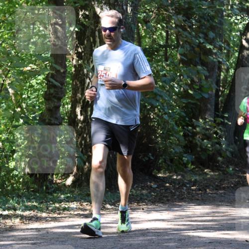 28.09.2025 - 33. Volkslauf durch das schöne Alstertal Strokosch-Dieckow http://msf.ph/oto/8971512 28.09.2025 12:15:45 Laufen 250, 1746 meine-sportfotos.de