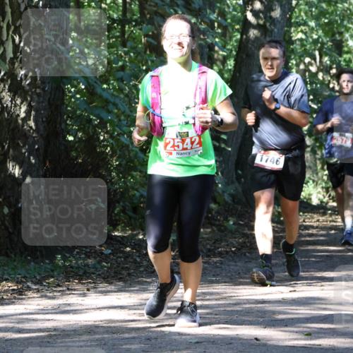 28.09.2025 - 33. Volkslauf durch das schöne Alstertal Strokosch-Dieckow http://msf.ph/oto/8971517 28.09.2025 12:15:47 Laufen 2542, 1746, 2579 meine-sportfotos.de