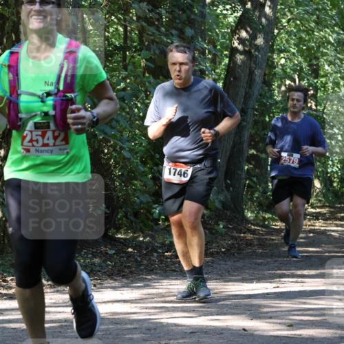 28.09.2025 - 33. Volkslauf durch das schöne Alstertal Strokosch-Dieckow http://msf.ph/oto/8971519 28.09.2025 12:15:48 Laufen 2542, 1746, 2579 meine-sportfotos.de