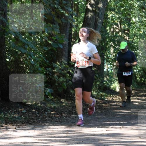28.09.2025 - 33. Volkslauf durch das schöne Alstertal Strokosch-Dieckow http://msf.ph/oto/8971528 28.09.2025 12:15:54 Laufen 2594, 1769, 2346 meine-sportfotos.de