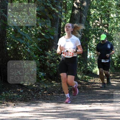 28.09.2025 - 33. Volkslauf durch das schöne Alstertal Strokosch-Dieckow http://msf.ph/oto/8971529 28.09.2025 12:15:54 Laufen 2594, 1769 meine-sportfotos.de
