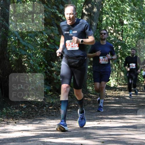 28.09.2025 - 33. Volkslauf durch das schöne Alstertal Strokosch-Dieckow http://msf.ph/oto/8971534 28.09.2025 12:16:00 Laufen 2340, 2225, 2280 meine-sportfotos.de