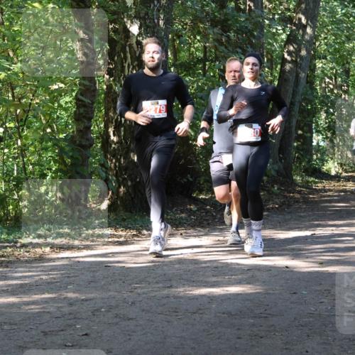 28.09.2025 - 33. Volkslauf durch das schöne Alstertal Strokosch-Dieckow http://msf.ph/oto/8971538 28.09.2025 12:16:05 Laufen 279, 2115 meine-sportfotos.de