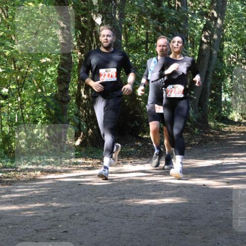 28.09.2025 - 33. Volkslauf durch das schöne Alstertal Strokosch-Dieckow http://msf.ph/oto/8971539 28.09.2025 12:16:06 Laufen 2279, 2280 meine-sportfotos.de