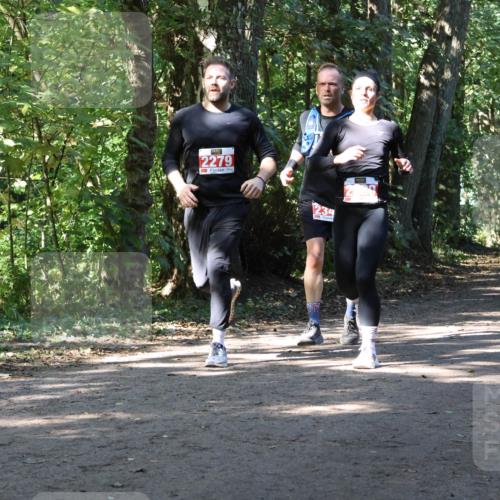28.09.2025 - 33. Volkslauf durch das schöne Alstertal Strokosch-Dieckow http://msf.ph/oto/8971540 28.09.2025 12:16:06 Laufen 2279 meine-sportfotos.de