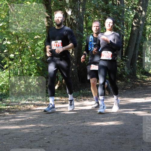 28.09.2025 - 33. Volkslauf durch das schöne Alstertal Strokosch-Dieckow http://msf.ph/oto/8971544 28.09.2025 12:16:06 Laufen 2279, 234, 2280, 2115 meine-sportfotos.de