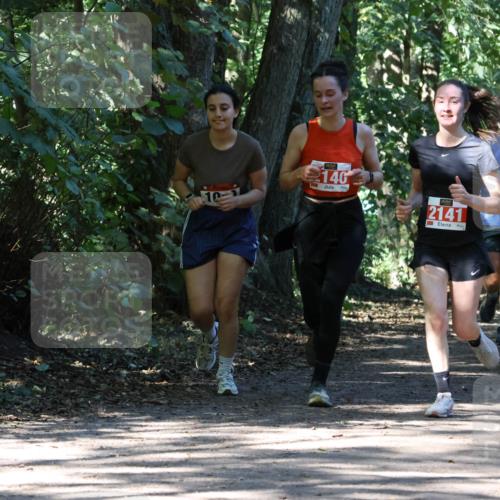 28.09.2025 - 33. Volkslauf durch das schöne Alstertal Strokosch-Dieckow http://msf.ph/oto/8971551 28.09.2025 12:16:13 Laufen 2146, 2141, 3, 97 meine-sportfotos.de