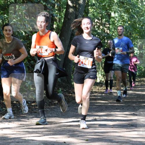 28.09.2025 - 33. Volkslauf durch das schöne Alstertal Strokosch-Dieckow http://msf.ph/oto/8971553 28.09.2025 12:16:14 Laufen 1040, 214, 2141, 2497 meine-sportfotos.de