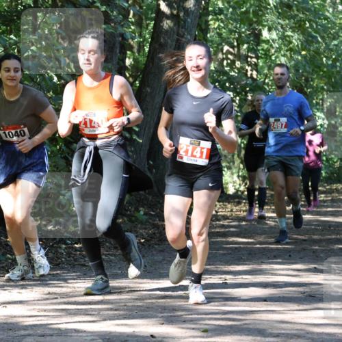 28.09.2025 - 33. Volkslauf durch das schöne Alstertal Strokosch-Dieckow http://msf.ph/oto/8971555 28.09.2025 12:16:14 Laufen 1040, 2141, 2497 meine-sportfotos.de