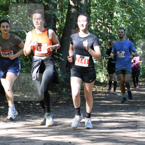 28.09.2025 - 33. Volkslauf durch das schöne Alstertal Strokosch-Dieckow http://msf.ph/oto/8971556 28.09.2025 12:16:14 Laufen 1040, 2140, 2141, 3, 2497 meine-sportfotos.de
