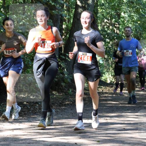 28.09.2025 - 33. Volkslauf durch das schöne Alstertal Strokosch-Dieckow http://msf.ph/oto/8971557 28.09.2025 12:16:14 Laufen 1040, 2141, 2497 meine-sportfotos.de