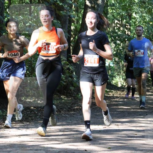 28.09.2025 - 33. Volkslauf durch das schöne Alstertal Strokosch-Dieckow http://msf.ph/oto/8971558 28.09.2025 12:16:14 Laufen 1040, 2140, 2141, 2497 meine-sportfotos.de