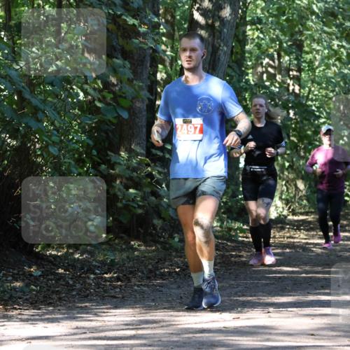 28.09.2025 - 33. Volkslauf durch das schöne Alstertal Strokosch-Dieckow http://msf.ph/oto/8971559 28.09.2025 12:16:16 Laufen 2497 meine-sportfotos.de