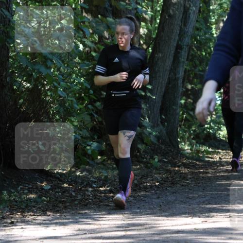 28.09.2025 - 33. Volkslauf durch das schöne Alstertal Strokosch-Dieckow http://msf.ph/oto/8971562 28.09.2025 12:16:18 Laufen  meine-sportfotos.de