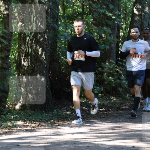 28.09.2025 - 33. Volkslauf durch das schöne Alstertal Strokosch-Dieckow http://msf.ph/oto/8971563 28.09.2025 12:16:48 Laufen 2126, 29 meine-sportfotos.de