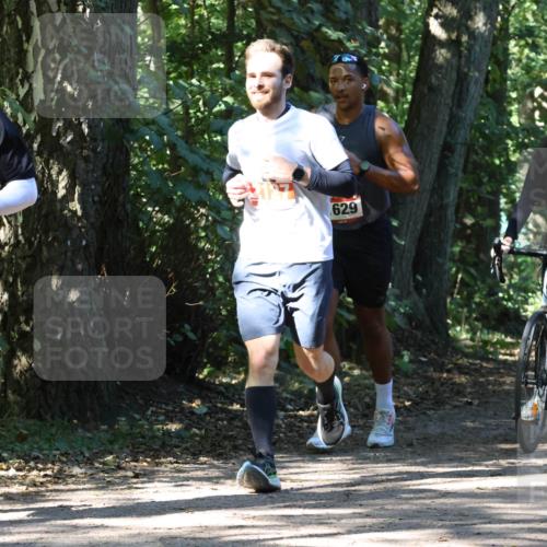 28.09.2025 - 33. Volkslauf durch das schöne Alstertal Strokosch-Dieckow http://msf.ph/oto/8971567 28.09.2025 12:16:49 Laufen 212, 629 meine-sportfotos.de