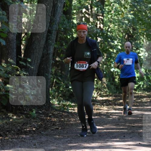 28.09.2025 - 33. Volkslauf durch das schöne Alstertal Strokosch-Dieckow http://msf.ph/oto/8971570 28.09.2025 12:16:58 Laufen 1087, 2380 meine-sportfotos.de