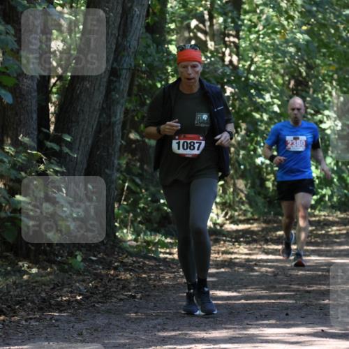 28.09.2025 - 33. Volkslauf durch das schöne Alstertal Strokosch-Dieckow http://msf.ph/oto/8971571 28.09.2025 12:16:58 Laufen 1087, 2380 meine-sportfotos.de
