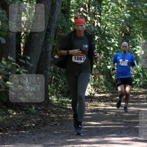 28.09.2025 - 33. Volkslauf durch das schöne Alstertal Strokosch-Dieckow http://msf.ph/oto/8971573 28.09.2025 12:16:59 Laufen 1087, 2380 meine-sportfotos.de