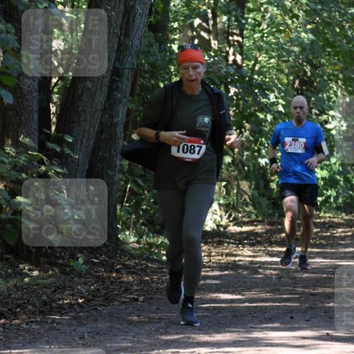 28.09.2025 - 33. Volkslauf durch das schöne Alstertal Strokosch-Dieckow http://msf.ph/oto/8971575 28.09.2025 12:16:59 Laufen 1087, 2380 meine-sportfotos.de