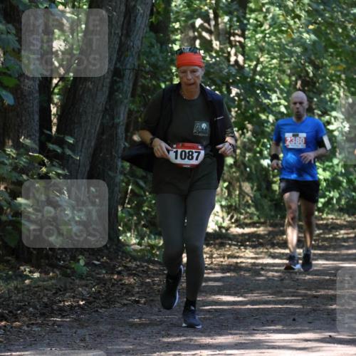 28.09.2025 - 33. Volkslauf durch das schöne Alstertal Strokosch-Dieckow http://msf.ph/oto/8971576 28.09.2025 12:16:59 Laufen 1087, 2380 meine-sportfotos.de