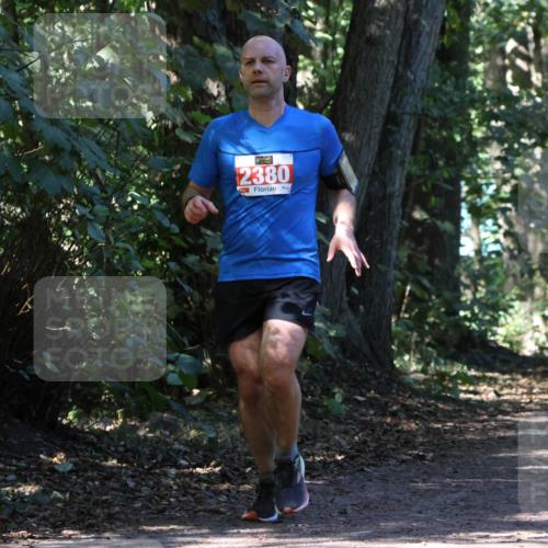 28.09.2025 - 33. Volkslauf durch das schöne Alstertal Strokosch-Dieckow http://msf.ph/oto/8971582 28.09.2025 12:17:03 Laufen 2380 meine-sportfotos.de
