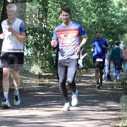28.09.2025 - 33. Volkslauf durch das schöne Alstertal Strokosch-Dieckow http://msf.ph/oto/8971590 28.09.2025 12:17:10 Laufen 2503, 2215 meine-sportfotos.de