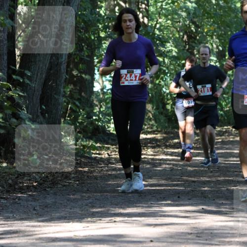 28.09.2025 - 33. Volkslauf durch das schöne Alstertal Strokosch-Dieckow http://msf.ph/oto/8971592 28.09.2025 12:17:13 Laufen 2447, 107, 2181, 2215 meine-sportfotos.de