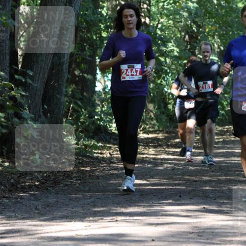 28.09.2025 - 33. Volkslauf durch das schöne Alstertal Strokosch-Dieckow http://msf.ph/oto/8971593 28.09.2025 12:17:13 Laufen 2447, 2181 meine-sportfotos.de