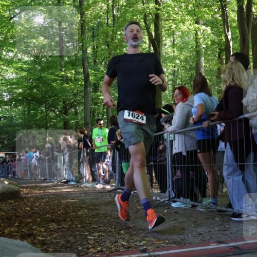 28.09.2025 - 33. Volkslauf durch das schöne Alstertal Strokosch-Dieckow http://msf.ph/oto/8971598 28.09.2025 11:53:35 Ziel 1624, 3061 meine-sportfotos.de