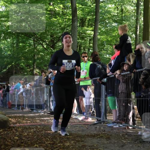 28.09.2025 - 33. Volkslauf durch das schöne Alstertal Strokosch-Dieckow http://msf.ph/oto/8971602 28.09.2025 11:53:44 Ziel 3061 meine-sportfotos.de