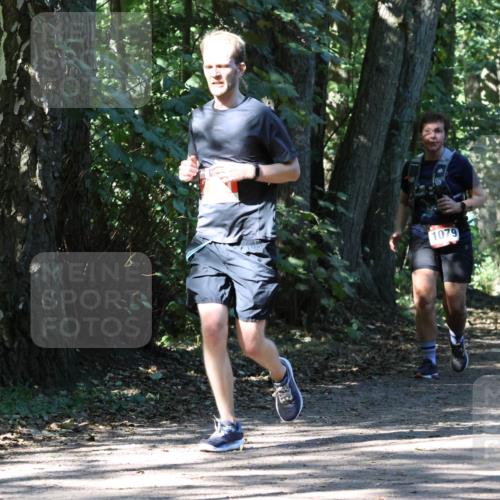 28.09.2025 - 33. Volkslauf durch das schöne Alstertal Strokosch-Dieckow http://msf.ph/oto/8971605 28.09.2025 12:17:18 Laufen 1079 meine-sportfotos.de