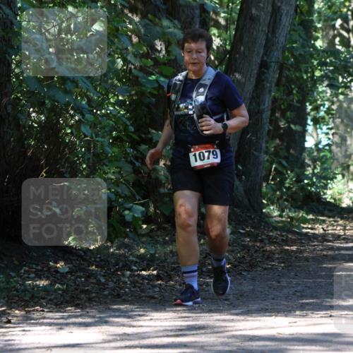 28.09.2025 - 33. Volkslauf durch das schöne Alstertal Strokosch-Dieckow http://msf.ph/oto/8971607 28.09.2025 12:17:19 Laufen 1079 meine-sportfotos.de