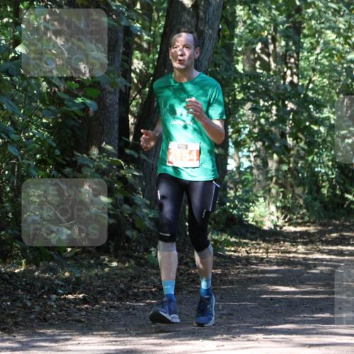 28.09.2025 - 33. Volkslauf durch das schöne Alstertal Strokosch-Dieckow http://msf.ph/oto/8971618 28.09.2025 12:17:31 Laufen 2154 meine-sportfotos.de