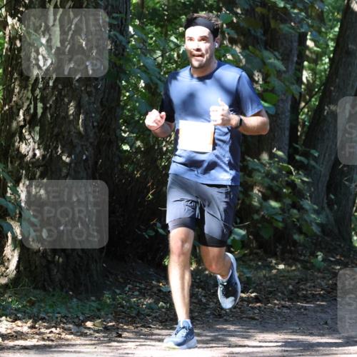 28.09.2025 - 33. Volkslauf durch das schöne Alstertal Strokosch-Dieckow http://msf.ph/oto/8971622 28.09.2025 12:17:39 Laufen  meine-sportfotos.de