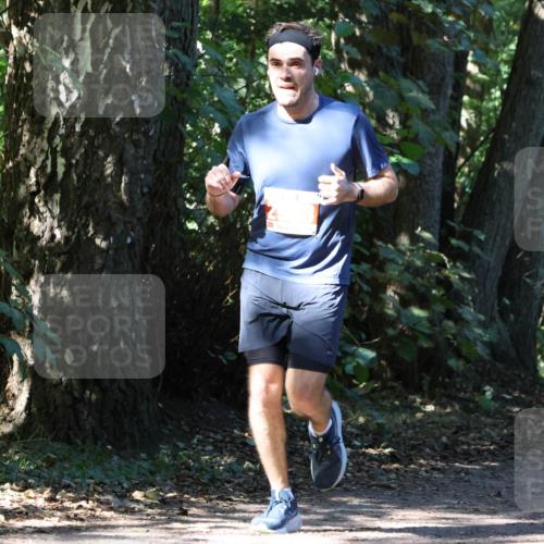 28.09.2025 - 33. Volkslauf durch das schöne Alstertal Strokosch-Dieckow http://msf.ph/oto/8971623 28.09.2025 12:17:39 Laufen  meine-sportfotos.de