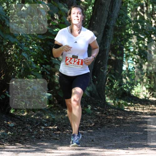 28.09.2025 - 33. Volkslauf durch das schöne Alstertal Strokosch-Dieckow http://msf.ph/oto/8971626 28.09.2025 12:17:41 Laufen 2421 meine-sportfotos.de