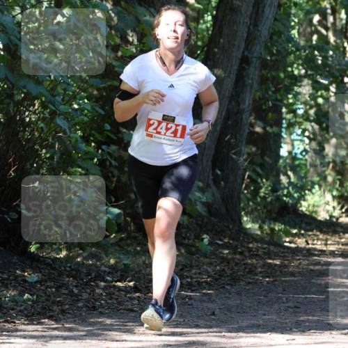 28.09.2025 - 33. Volkslauf durch das schöne Alstertal Strokosch-Dieckow http://msf.ph/oto/8971627 28.09.2025 12:17:41 Laufen 2421 meine-sportfotos.de
