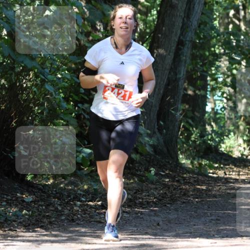 28.09.2025 - 33. Volkslauf durch das schöne Alstertal Strokosch-Dieckow http://msf.ph/oto/8971628 28.09.2025 12:17:41 Laufen 2421 meine-sportfotos.de