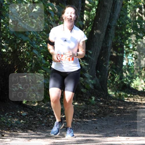28.09.2025 - 33. Volkslauf durch das schöne Alstertal Strokosch-Dieckow http://msf.ph/oto/8971631 28.09.2025 12:17:41 Laufen  meine-sportfotos.de